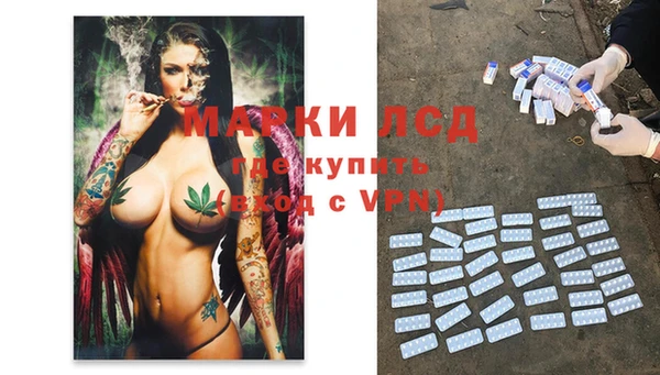 ПСИЛОЦИБИНОВЫЕ ГРИБЫ Краснотурьинск