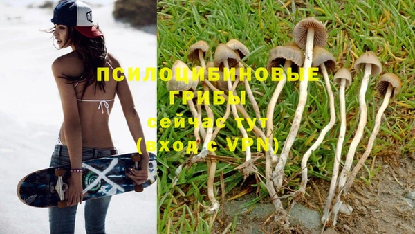 прущая мука Красноперекопск