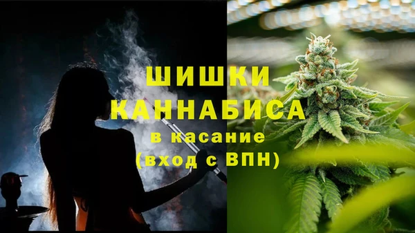 ПСИЛОЦИБИНОВЫЕ ГРИБЫ Краснотурьинск