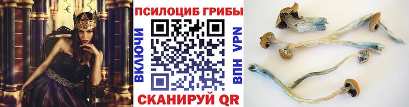 Псилоцибиновые грибы GOLDEN TEACHER  МЕГА рабочий сайт  Нарткала  наркошоп 
