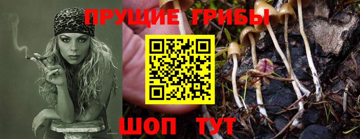 Галлюциногенные грибы ЛСД  Вход с VPN  Нарткала 
